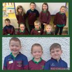 Primary 1-2